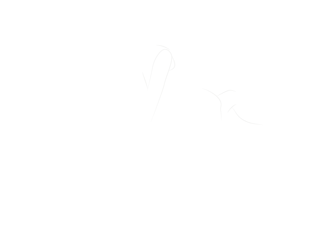 Hot-Star-Verse-Logo1