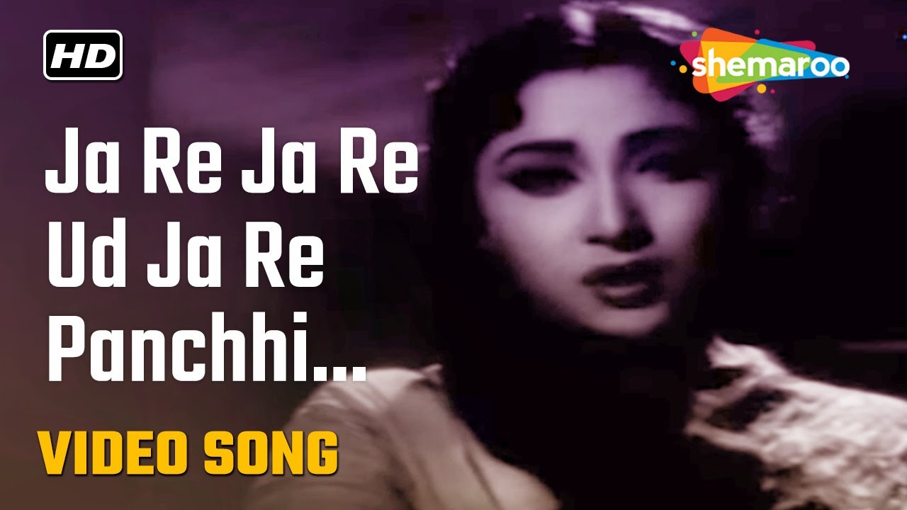 Jaa Re Jaa Re Ud Ja Re Panchhi Song Lyrics in English