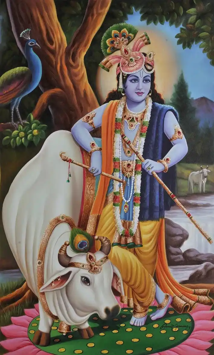 Lord Krishna DP